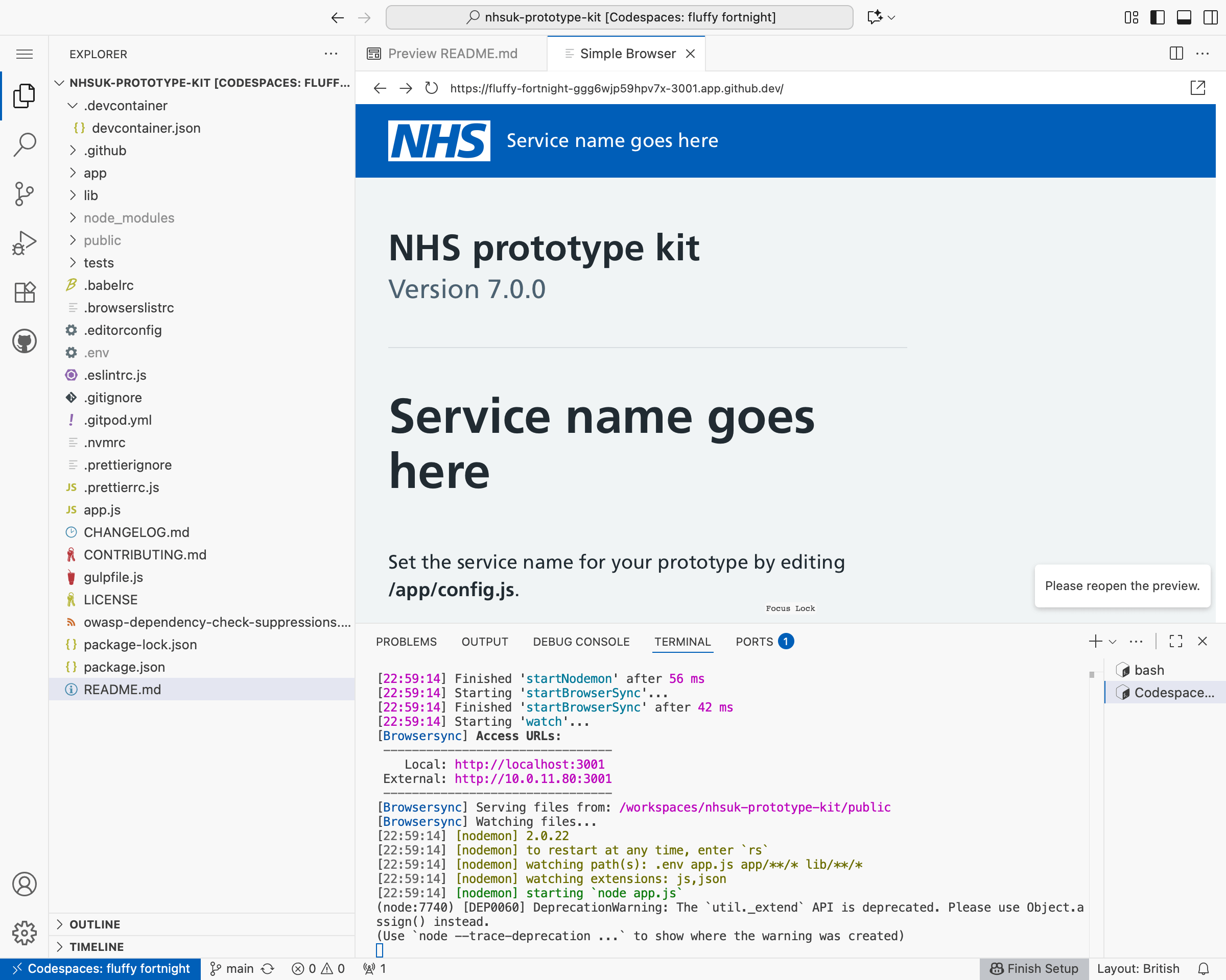 Screenshot of the running codespace